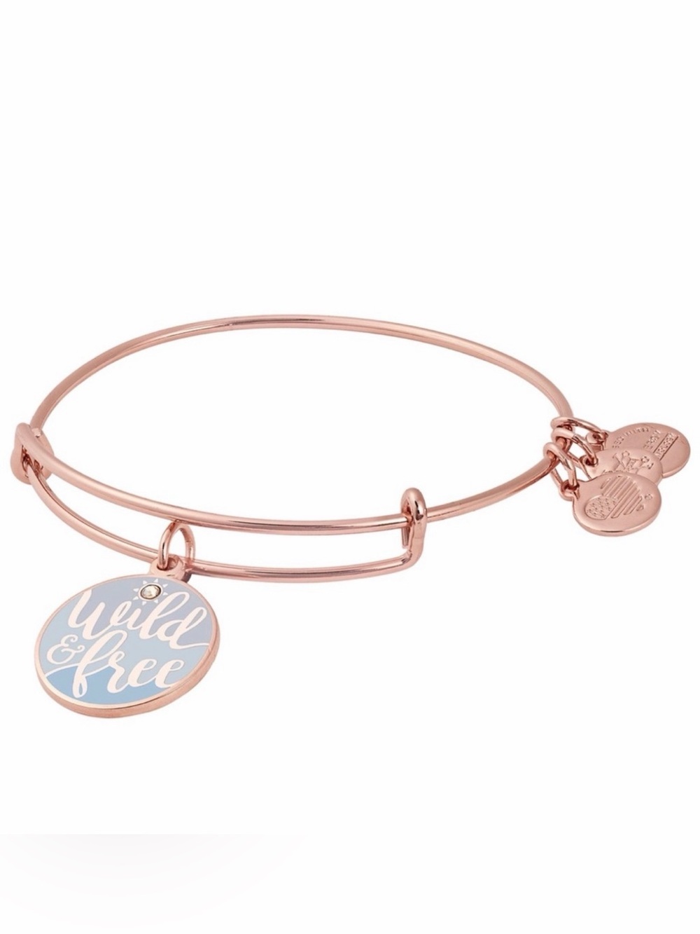 Alex and Ani Rose Gold 'Wild & Free' Charm Bangle Bracelet